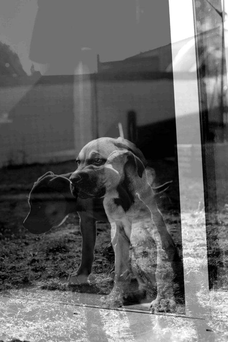 photographe en Vendée